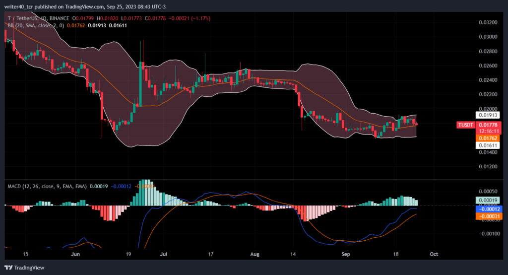 Is the T-Coin Price Ready to Bounce from the Current Level?