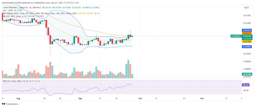 Will Celer Network Coin Turn Bullish in the Coming Months?