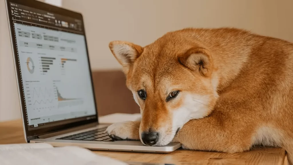 LTC and DOGE Holders Invest in Raffle Coin (RAFF) as Algorithms Predict 100X Gains