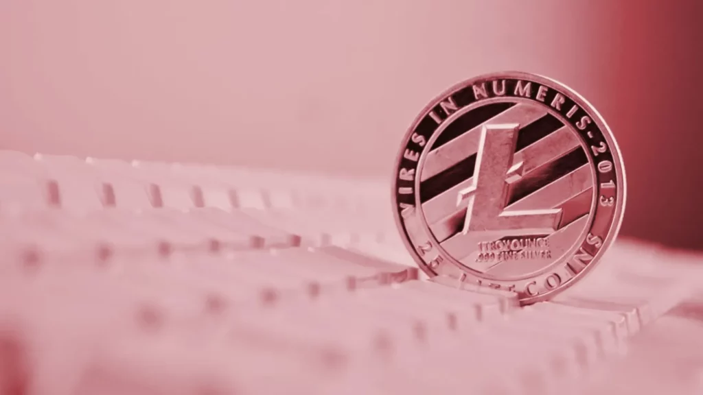 LTC and BNB Coin Holders Join Pushd Presale Craze to Capitalize on Its Potential