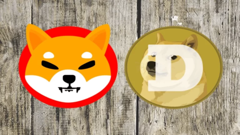 Koala Coin