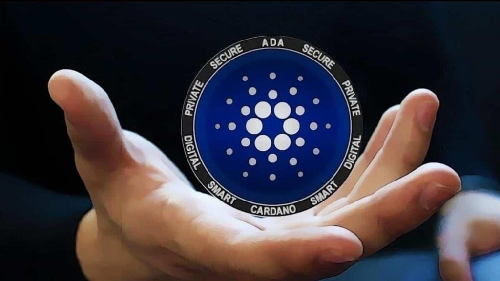 Why analysts think Kelexo will be the next big crypto as Cardano and Polkadot fall