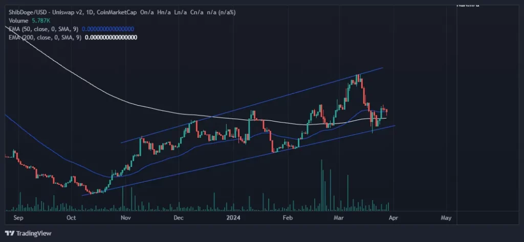shibdoge price 
