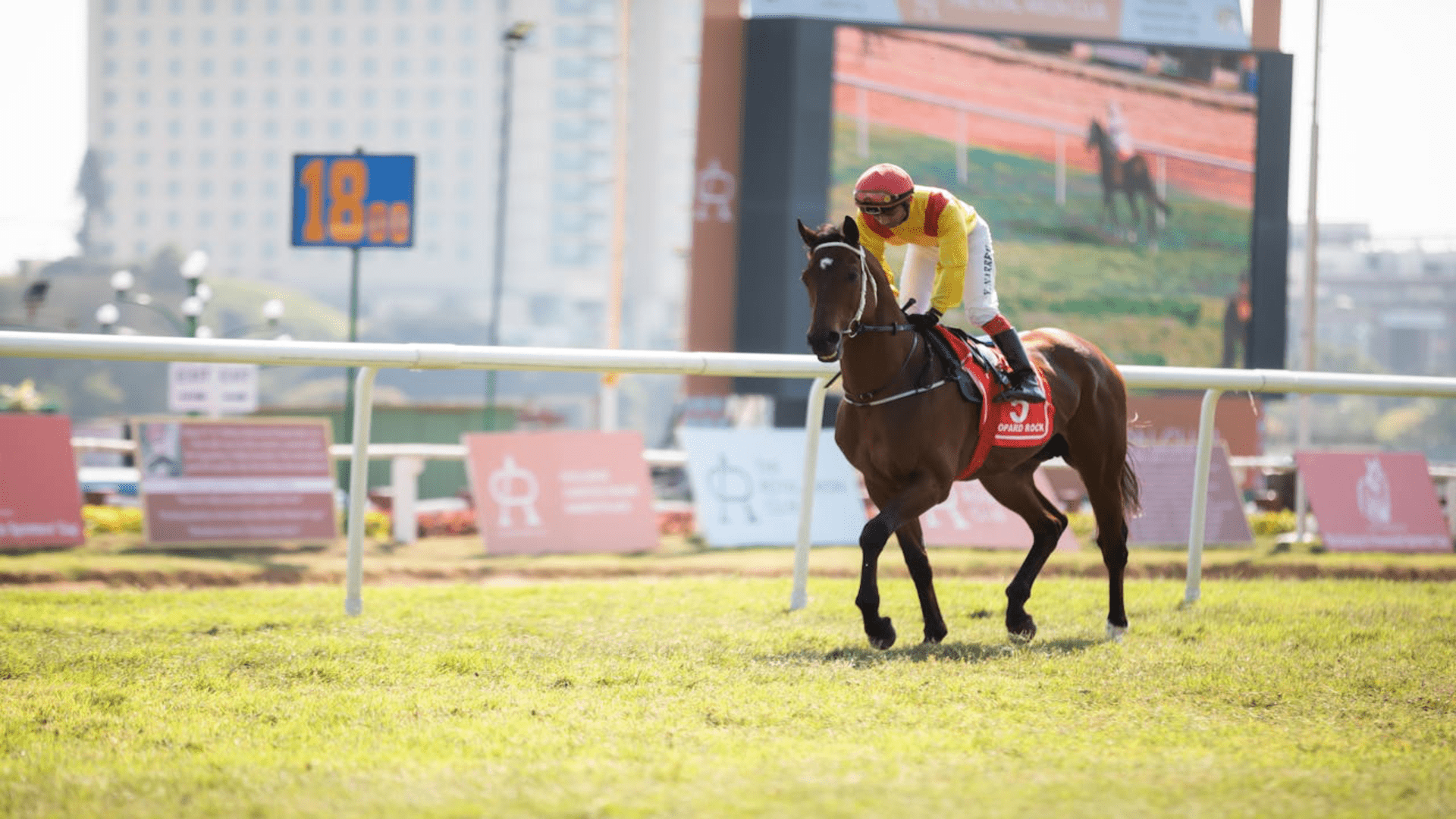 Is a Racehorse Investment a Worthy Side Hustle?