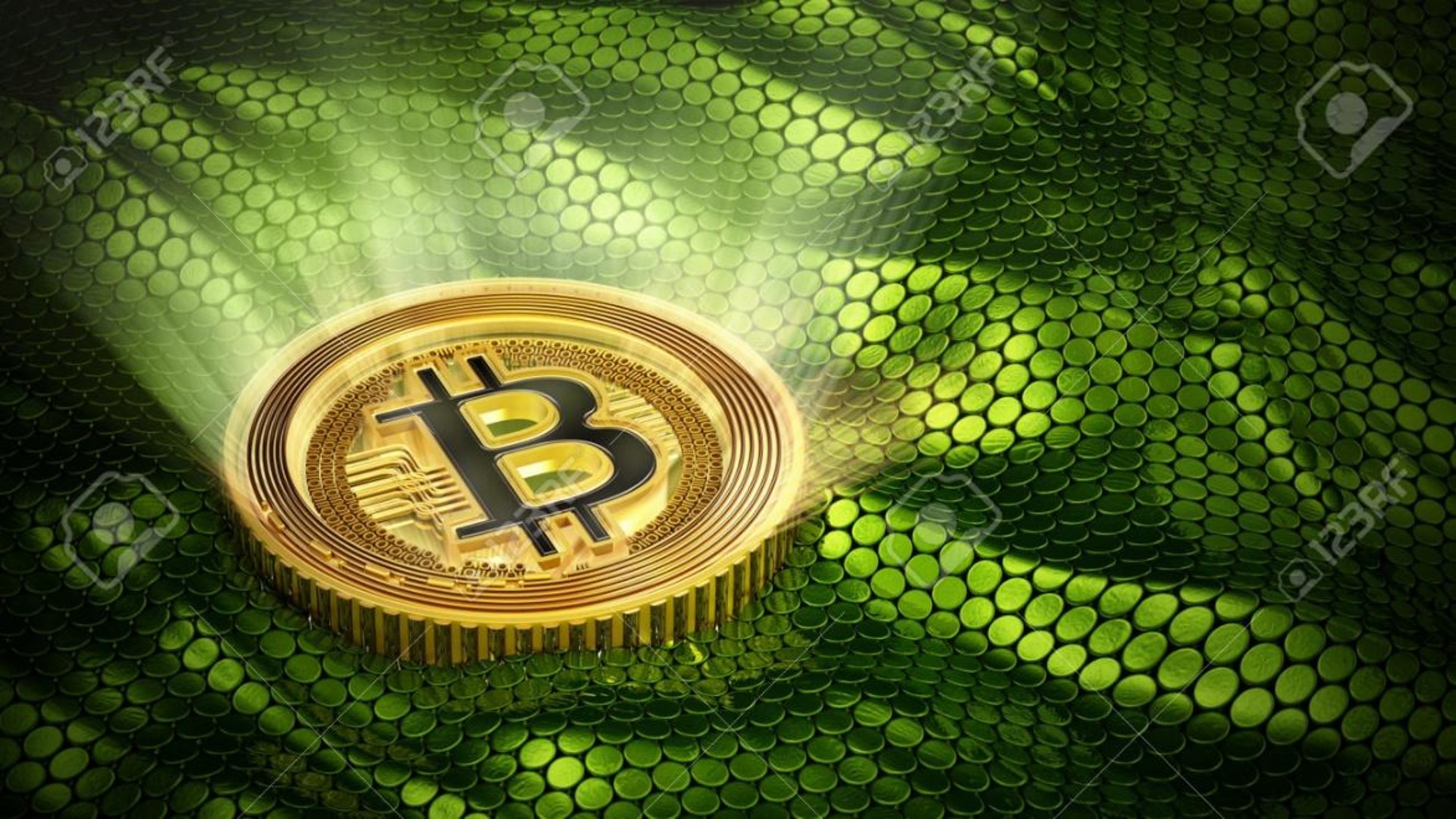 Coin to Coin Flips: Analyzing the Financial Impact of Crypto in Sports Betting