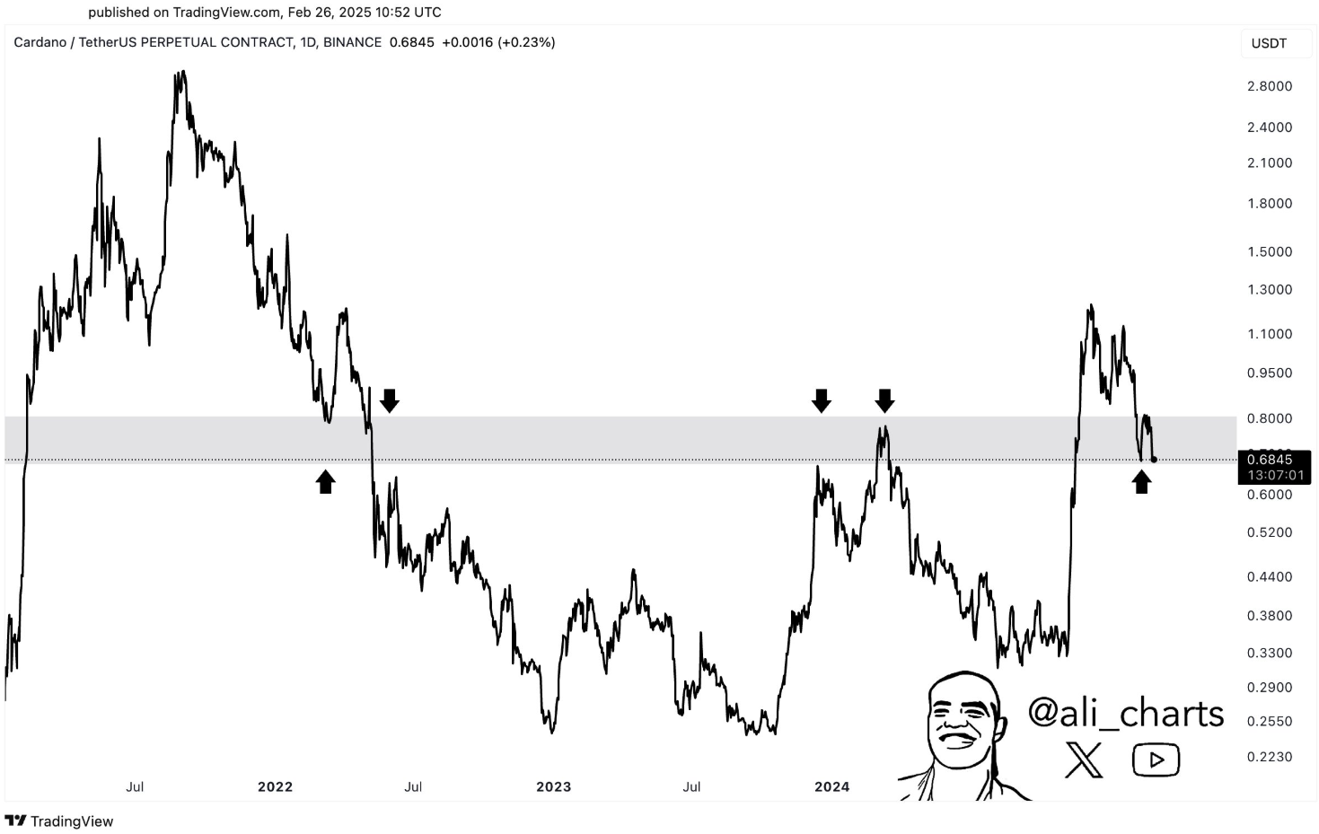 cardano price