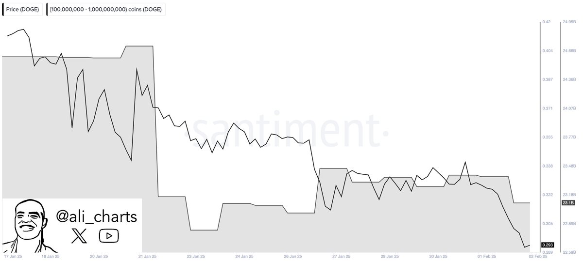 Dogecoin price