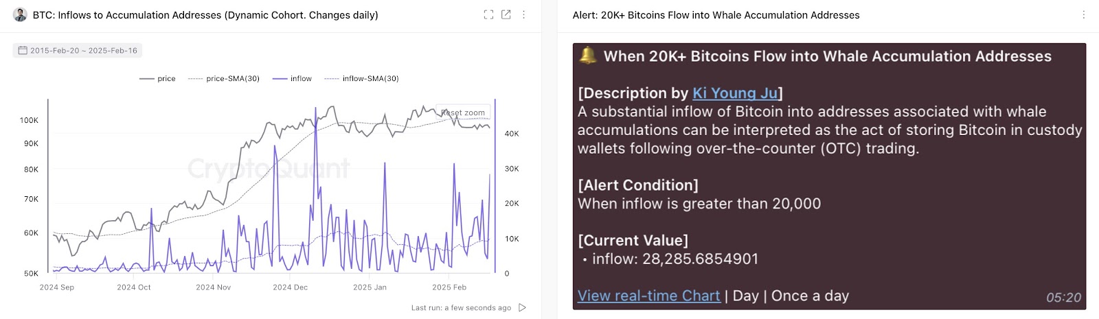 Whales Accumulate 28K+ BTC Amid Market Surge