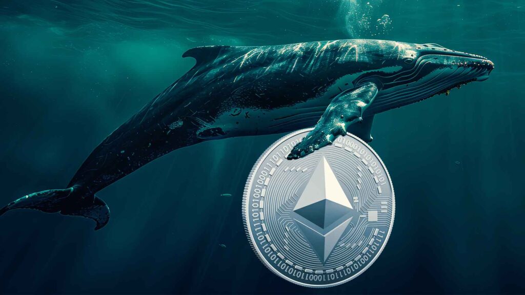 Ethereum Whales Stack 600K ETH, une hausse massive des prix est-elle à l’horizon ?