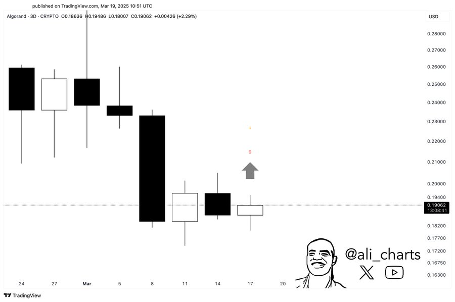 algo price