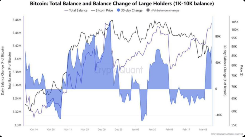 bitcoin whales