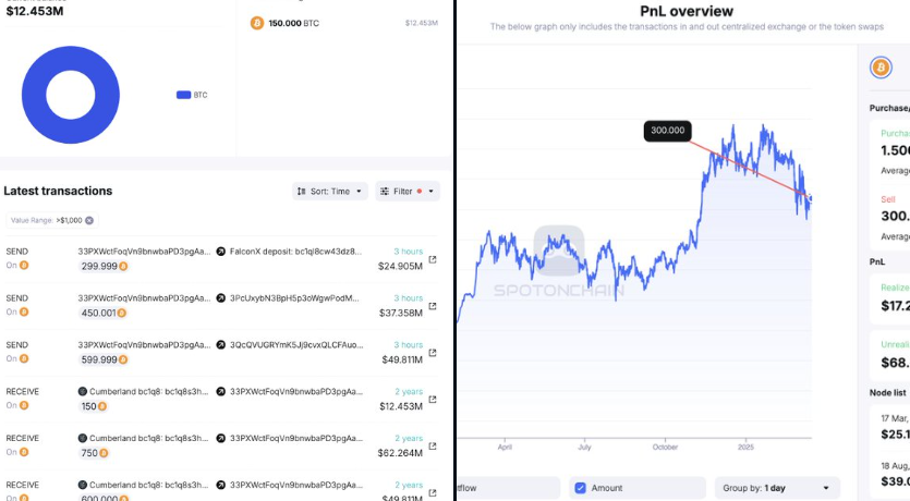 bitcoin whales