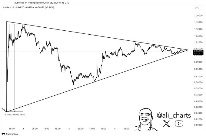 cardano crypto