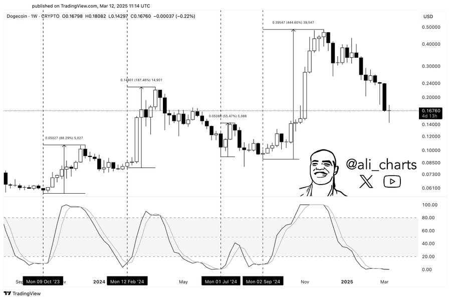 doge usd