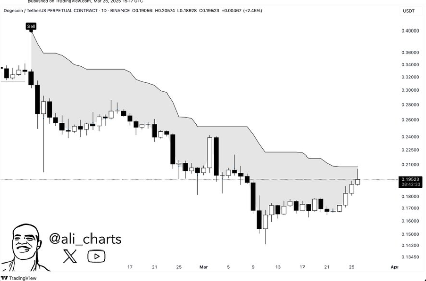 Dogecoin Price Chart