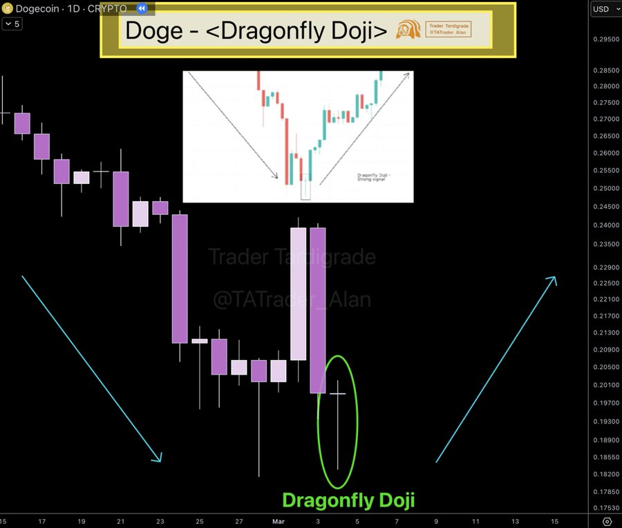 Dogecoin Price