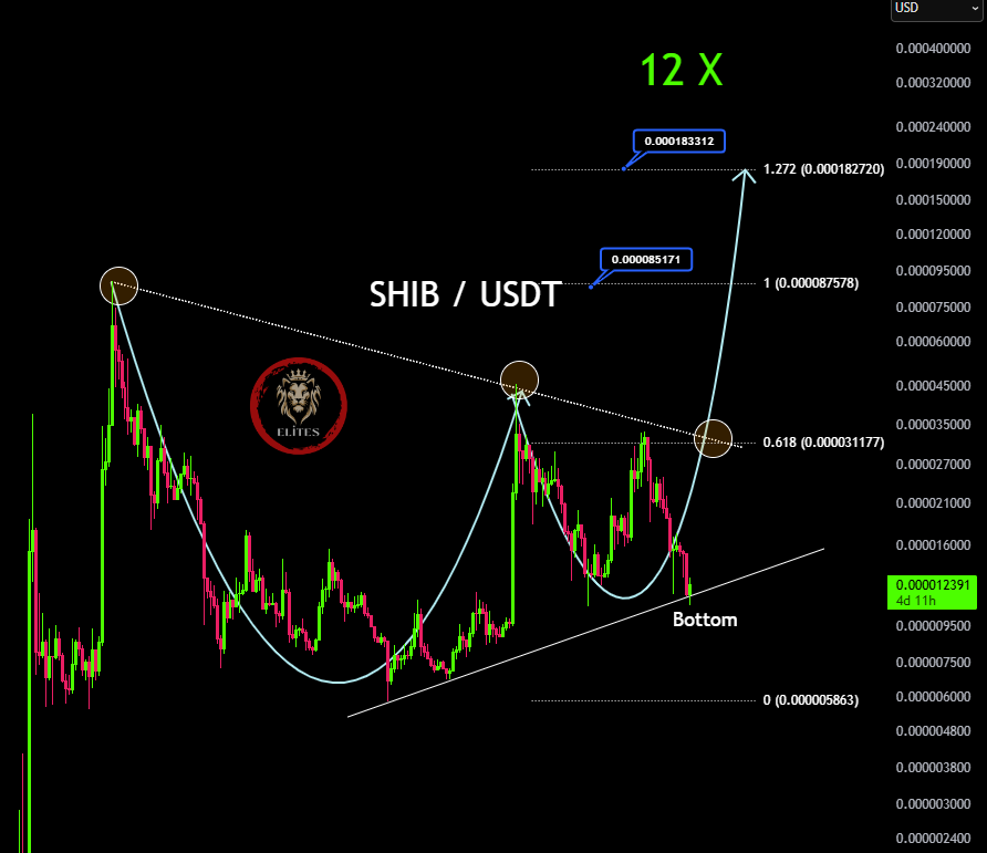 shiba inu price
