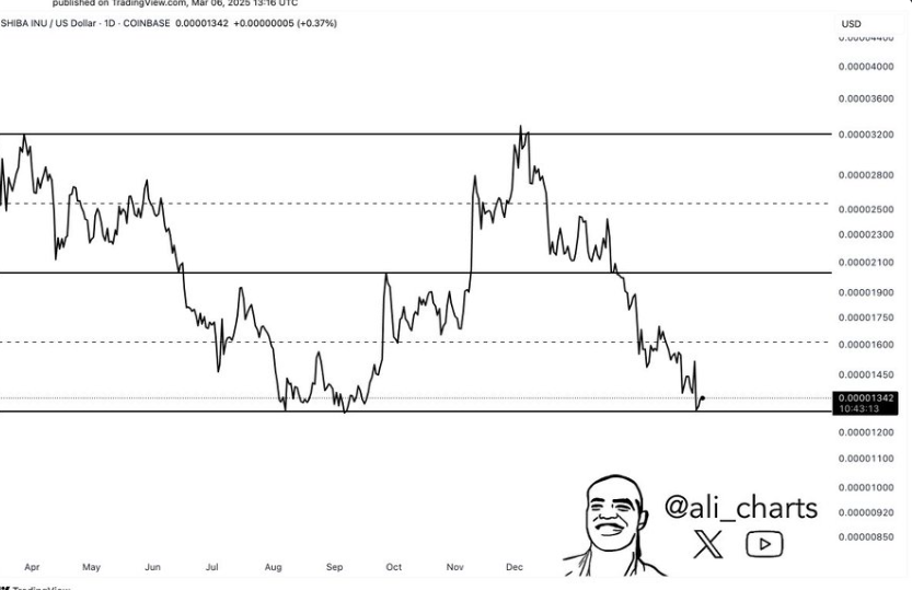 shiba inu price chart
