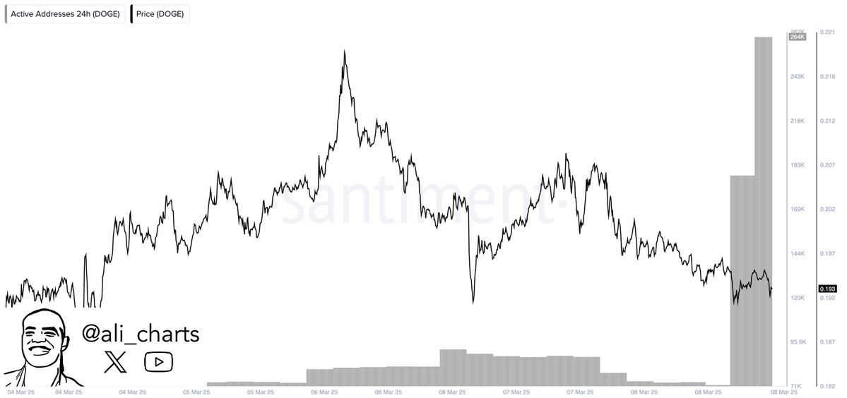dogecoin