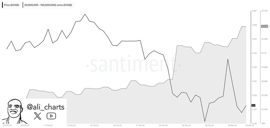 Dogecoin price