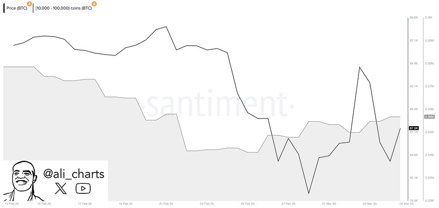 bitcoin price