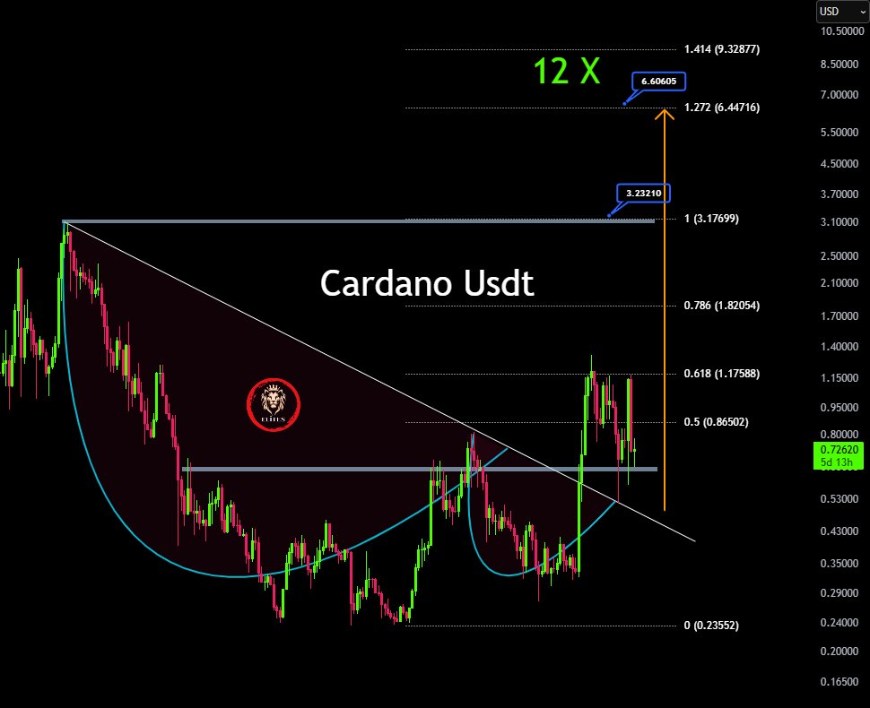 Cardano price