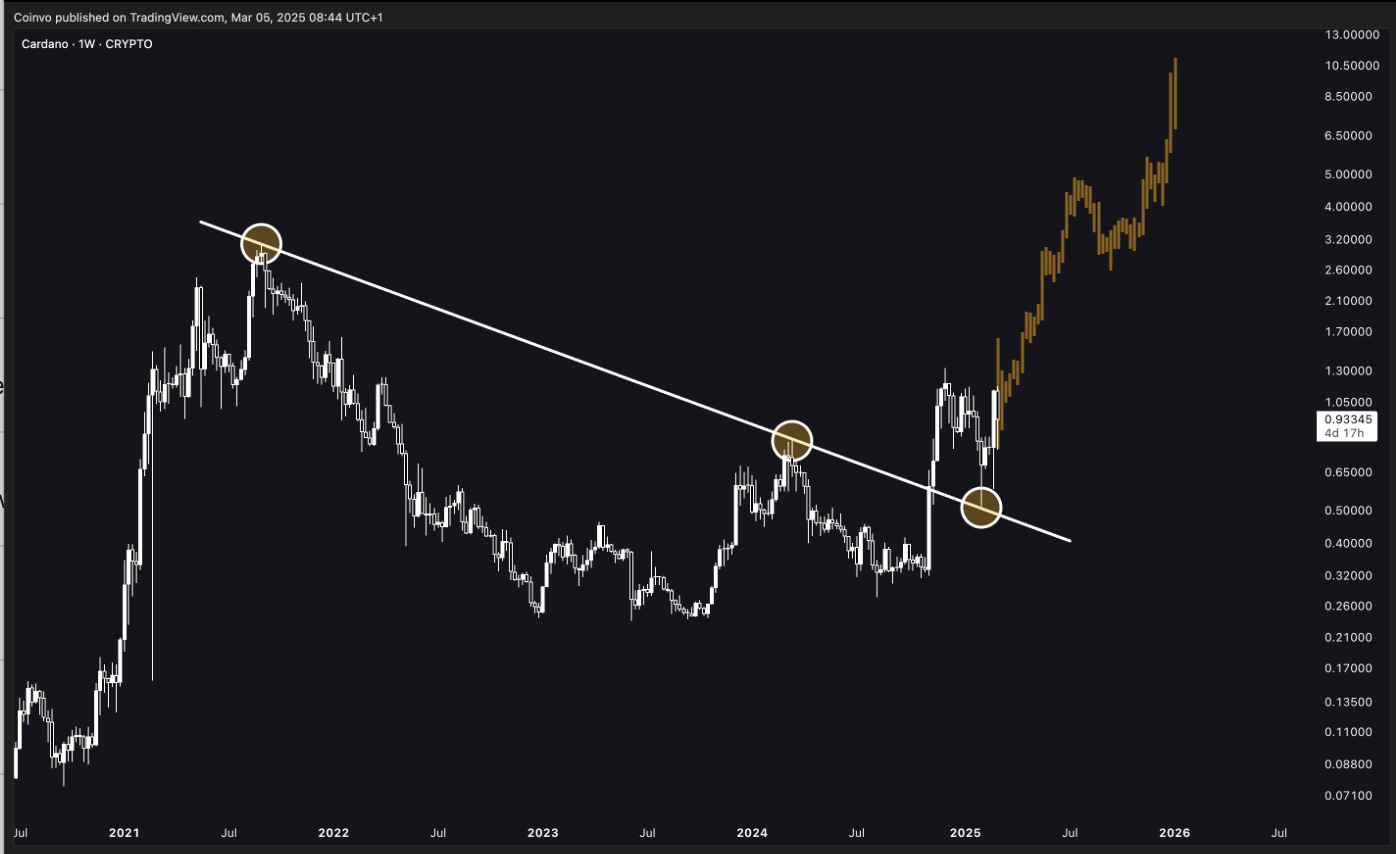  cardano