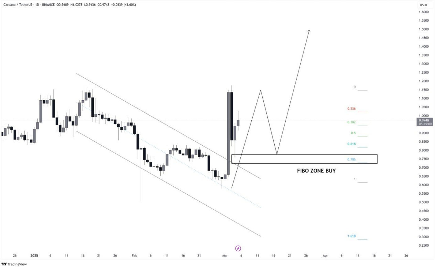 cardano 
