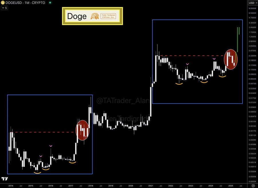 doge usd