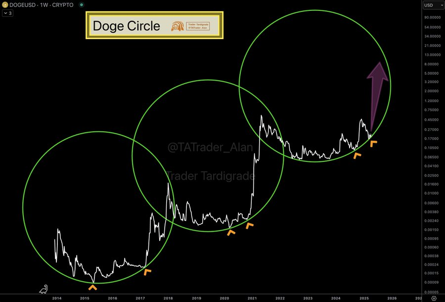 Doge USD