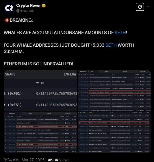 crypto rover