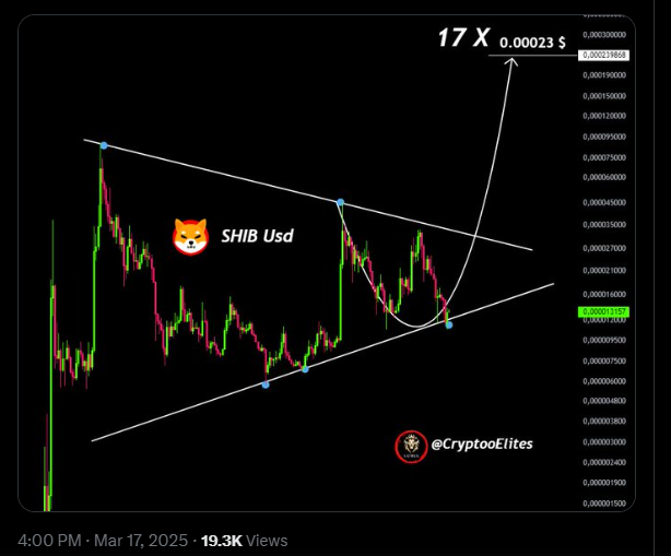 шиб usd