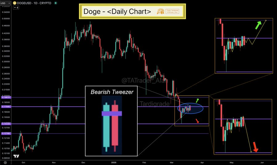 Doge daily chart