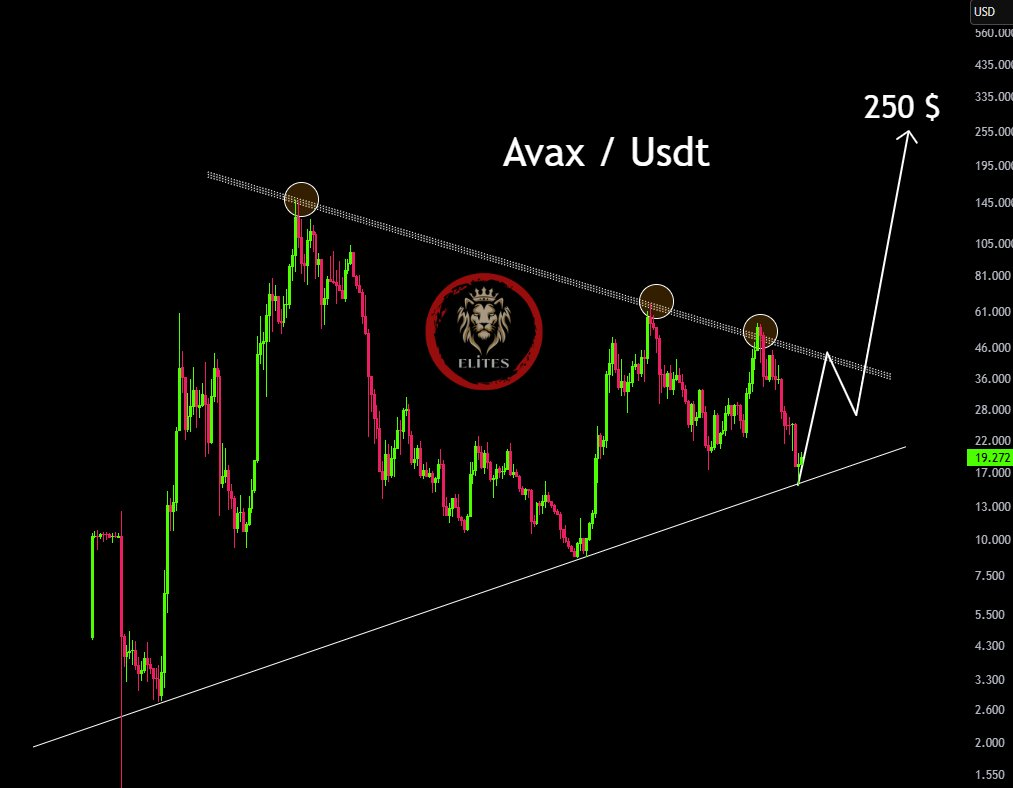 avax usd