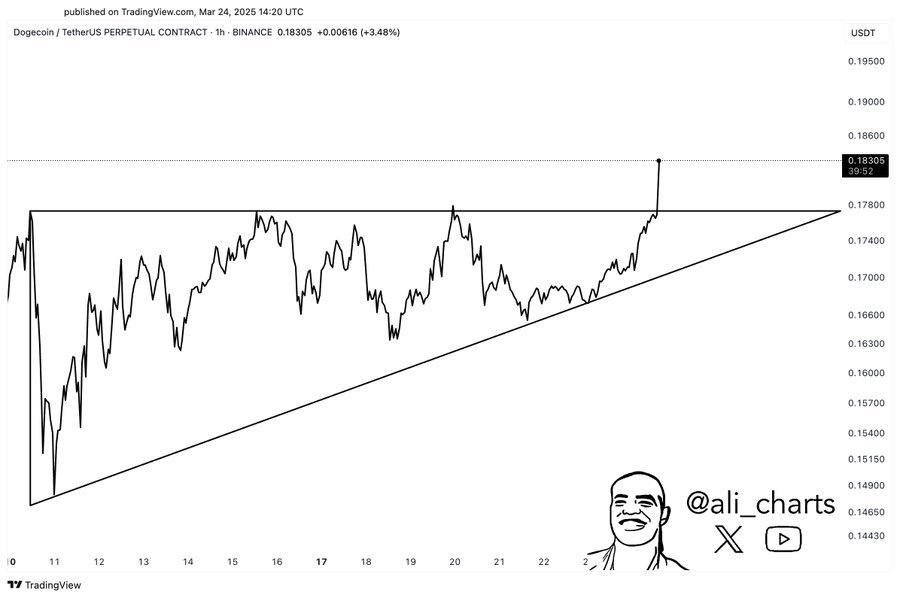 Dogecoin USD