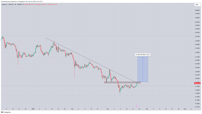 DOGE USD