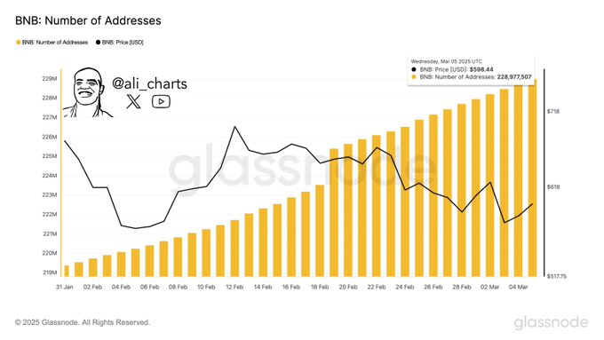 bnb price