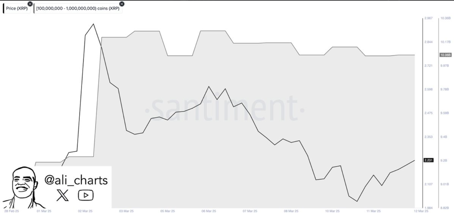 xrp large whale