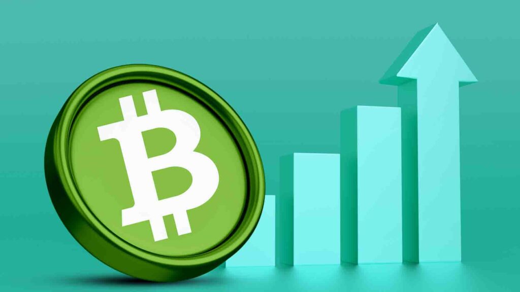 Bitcoin Cash (BCH) Surges 20% Amid Market Recovery— But Will This Indicator Halt Its Breakout Rally?