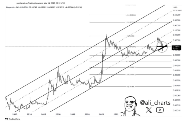 Doge USD
