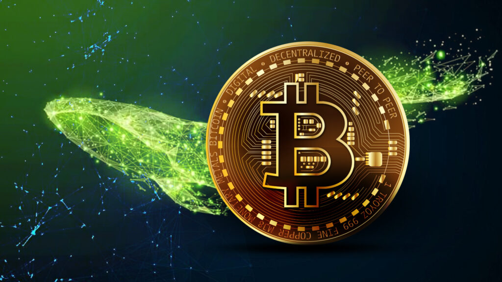 Кто на самом деле продает биткойн? Розничная торговля и креветки опережают разгрузку китов