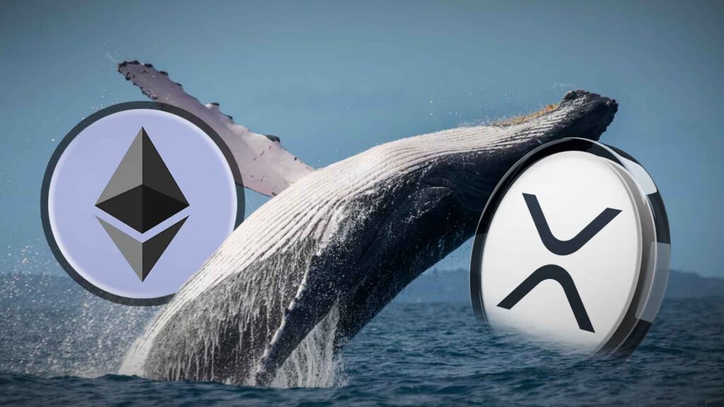 Can XRP Price Eyes 57% Surge as ETH Whale Accumulation Declines?