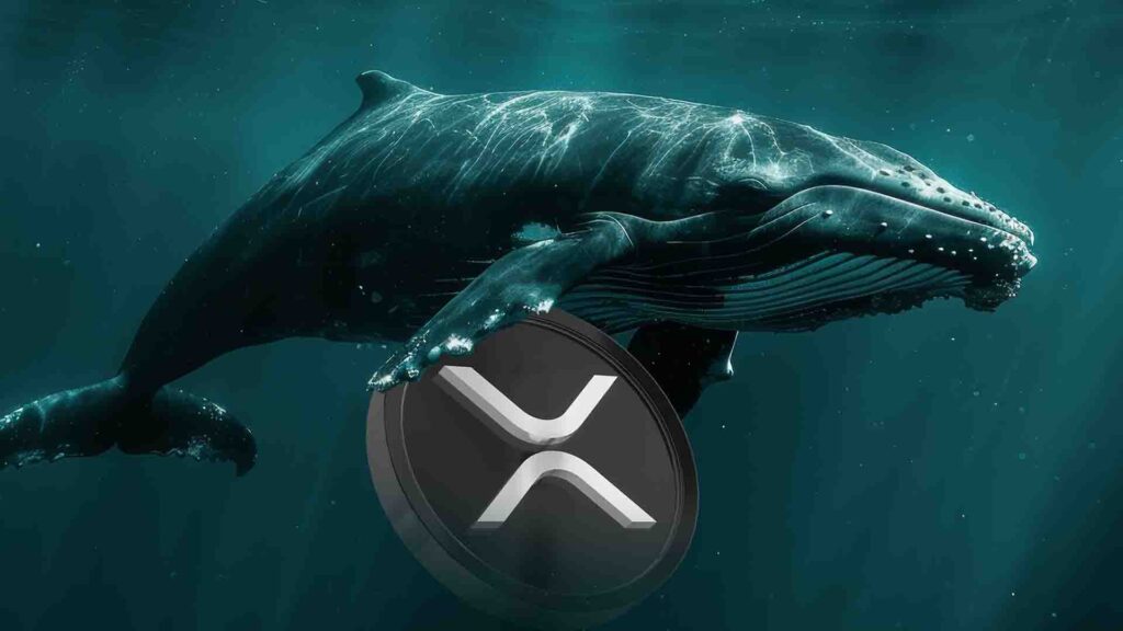 Whales Activity Drops XRP Price, ETF Approval Could Drive Rebound