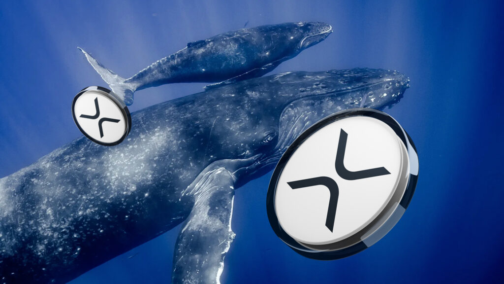 Whales Accumulate XRP Price as Chart Eyes 60% Breakout to $2.70