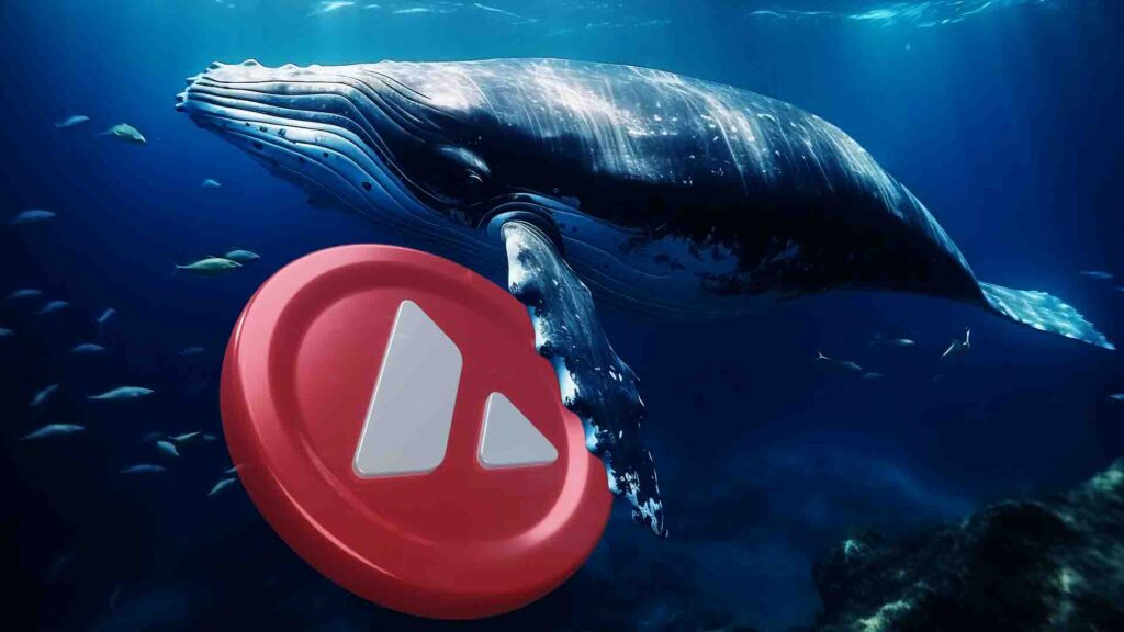 Can Avalanche Price Avoid 26% Crash As Whales Scoop $18M AVAX?
