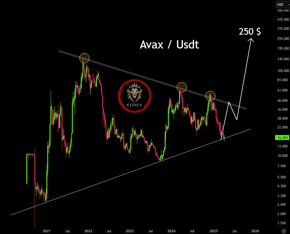 avax usdt