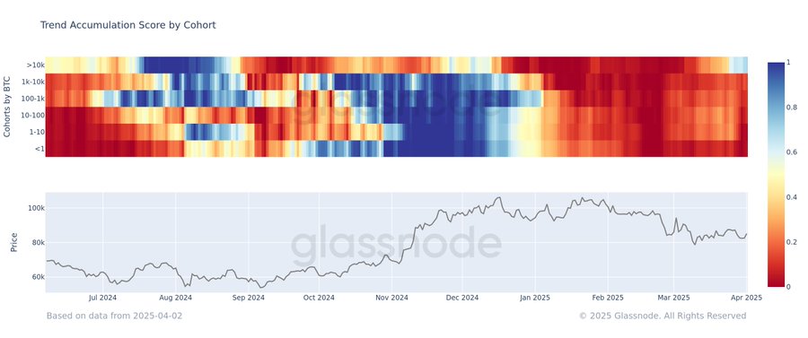 bitcoin accumlation