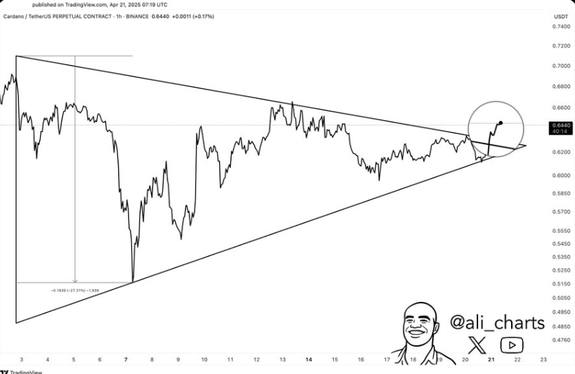 cardano price