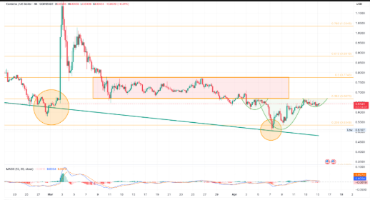 cardano price