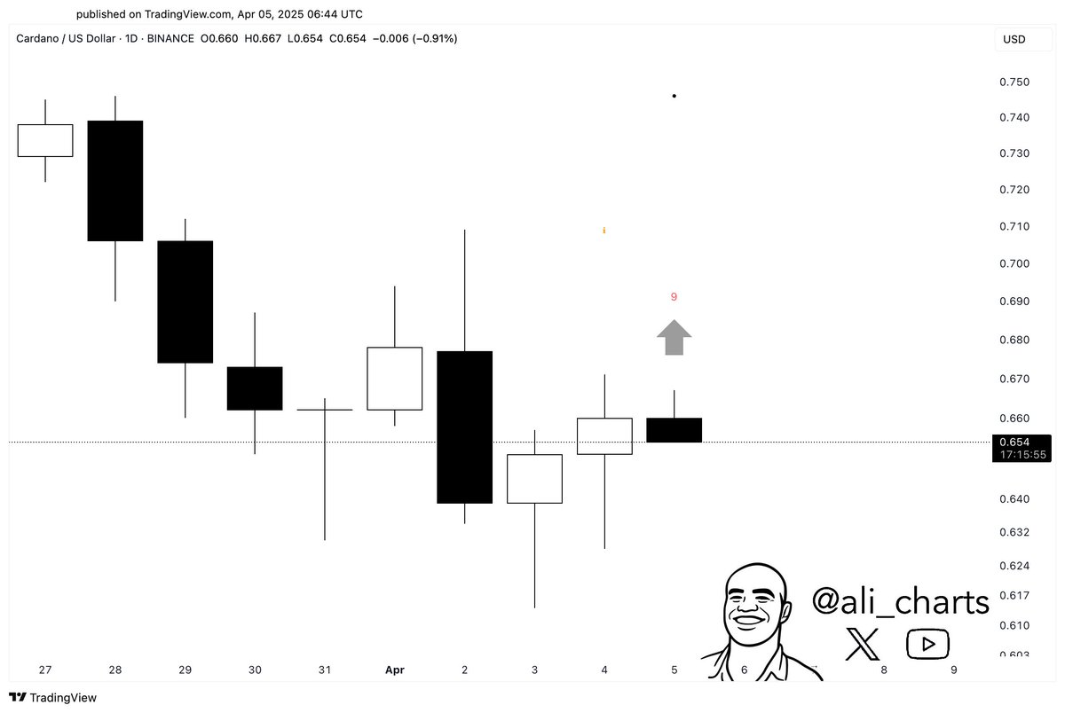 cardano Preis